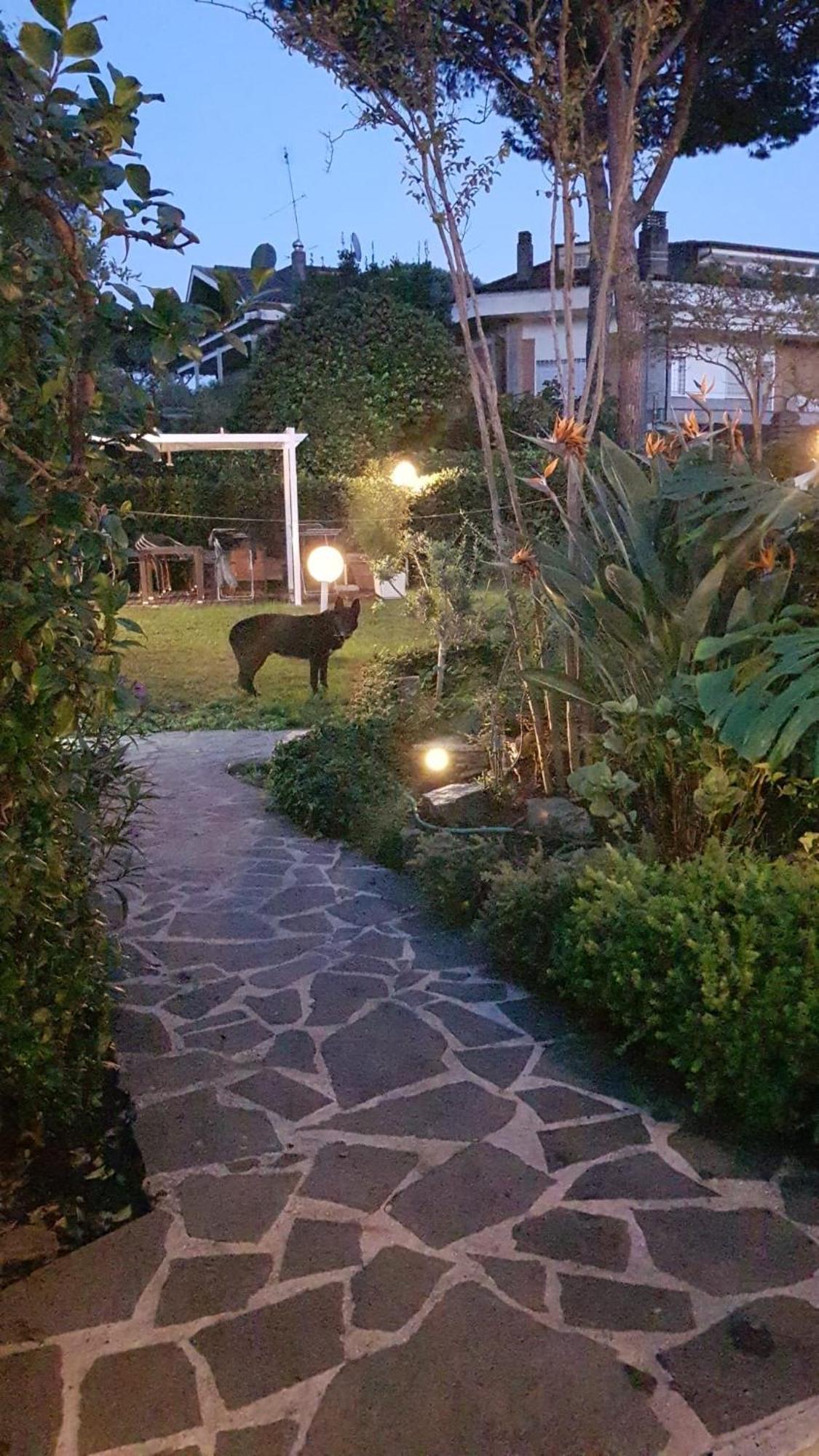 Готель Roma - Casalpalocco - Amipsia Казаль-Палокко Екстер'єр фото
